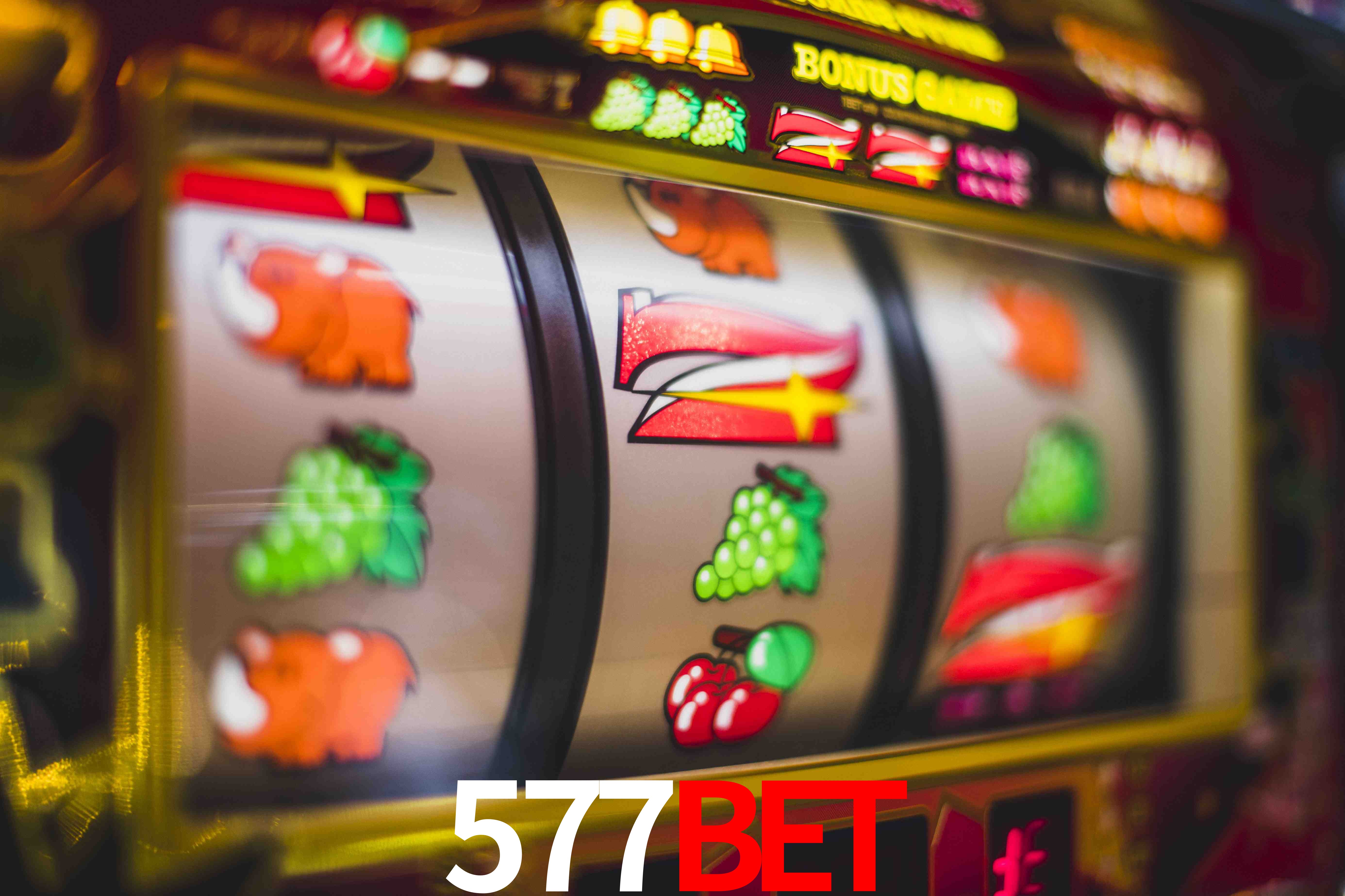 Crash Games Statistics 577bet